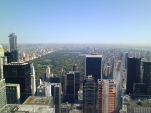 Centrale park dal Rockfeller center